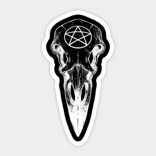 Raven skull. Pentagram Sticker